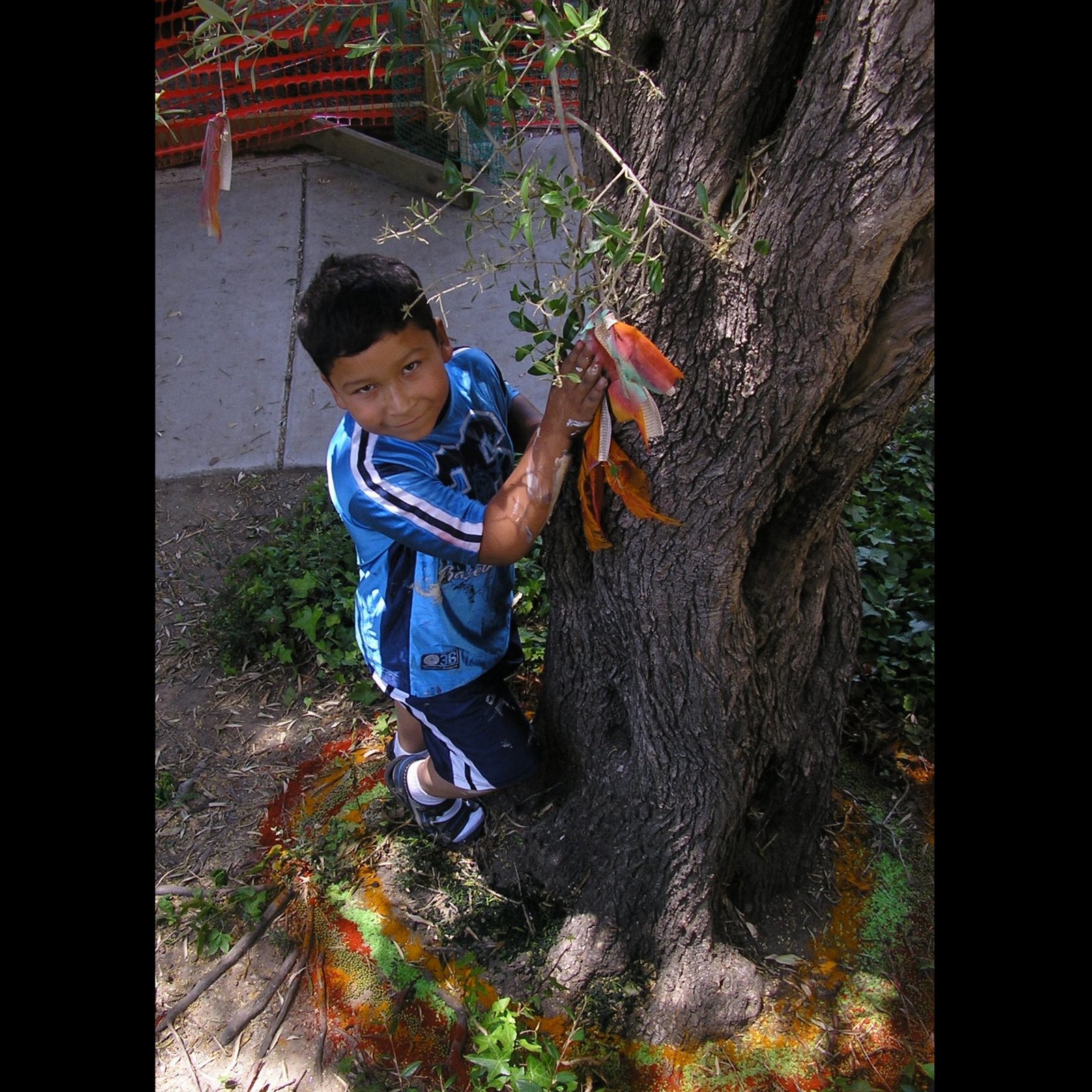 [2_Wishing_Tree,_Lincoln_Child_Center.jpg]