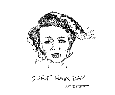 [07.16.08.surf.hair.day.blog.gif]