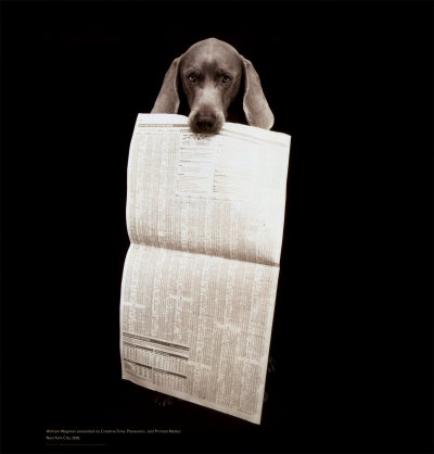 [FFPOFP148~Creative-Time-Dog-with-Newspaper-Posters.jpg]