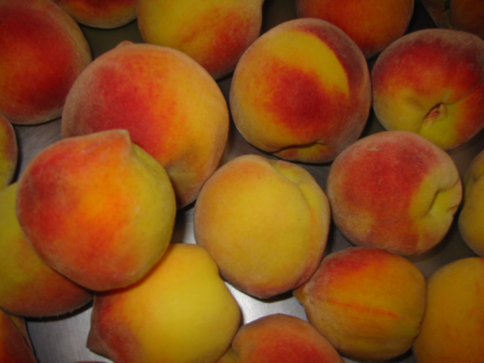 [peaches+1.JPG]