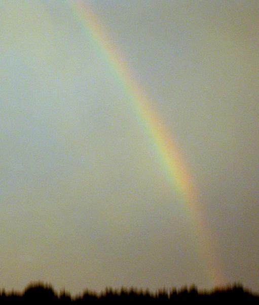 [rainbow3.JPG]