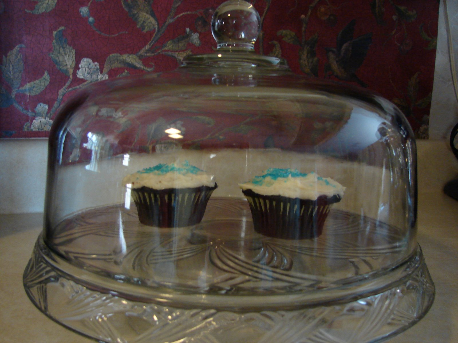 [cupcakes+002.JPG]