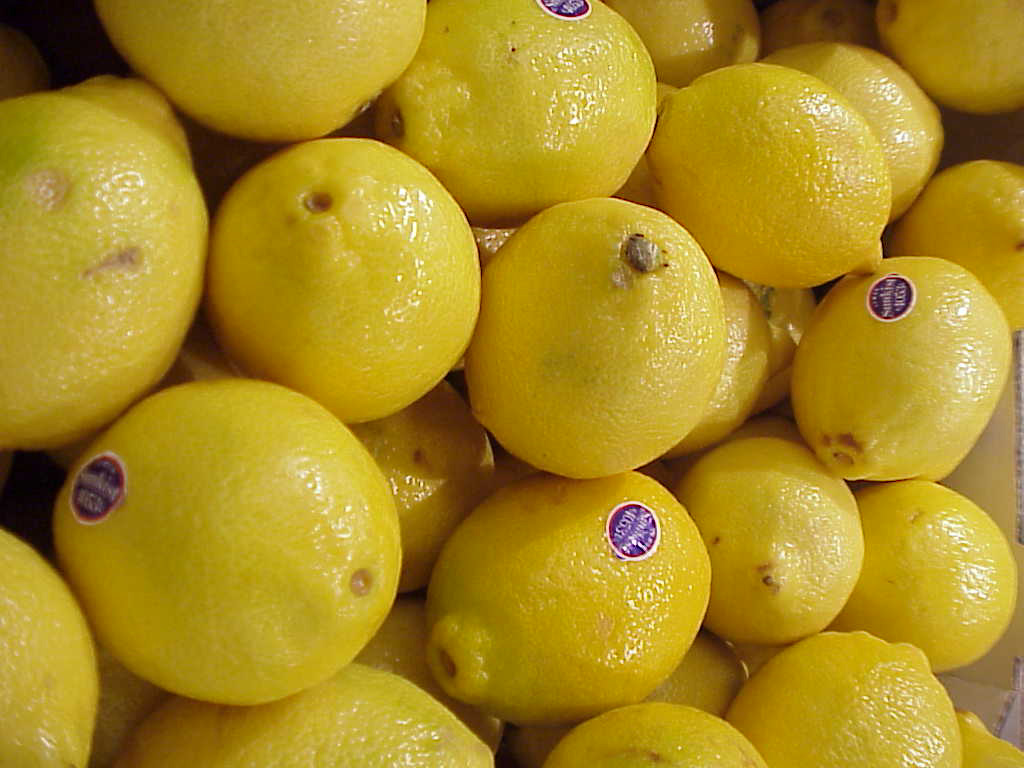 [lemons20.jpg]