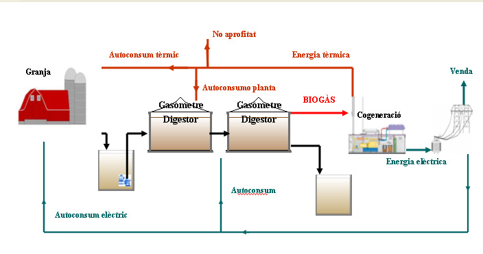 [biogas.jpg]
