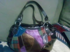 my new purse!