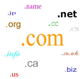Blogcuların Domain Seçimleri