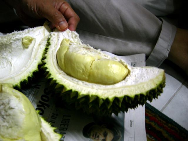 [durian01.jpg]