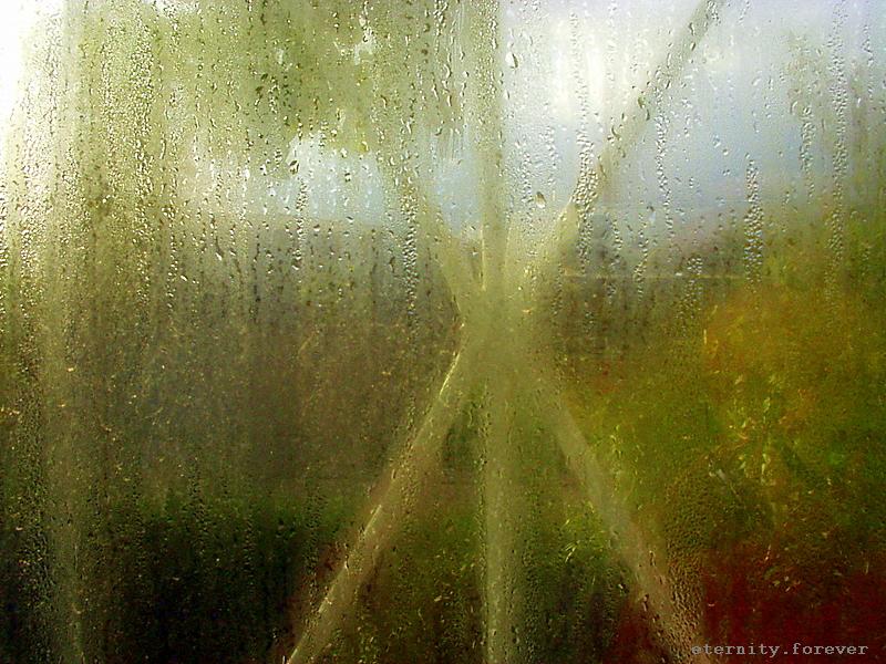 [Rain+on+my+window....JPG]
