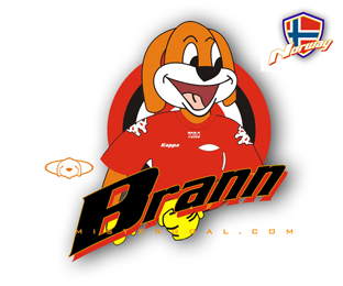 BRANN_mascot01_ab.png