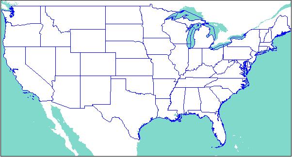 [US+states+borders.jpg]