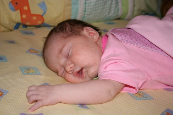 [Lexie+Sleeping.jpg]
