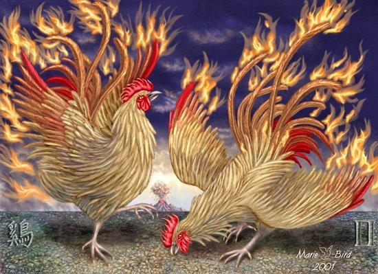[roosters.jpg]