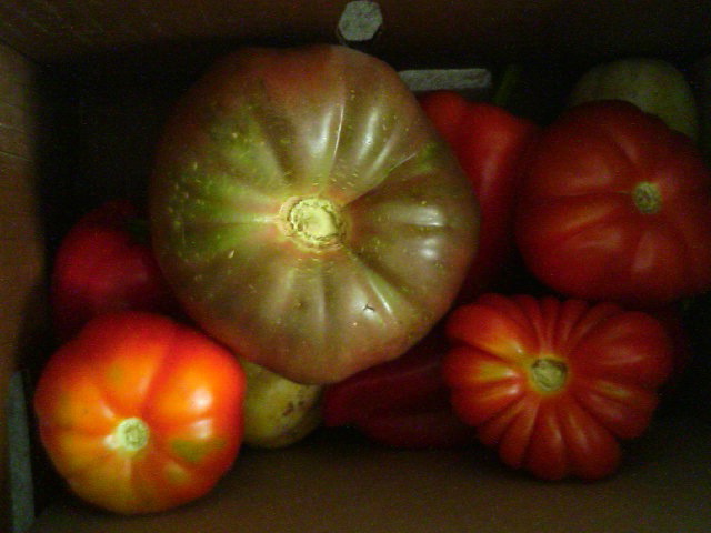 [heirloom+tomatoes.JPG]