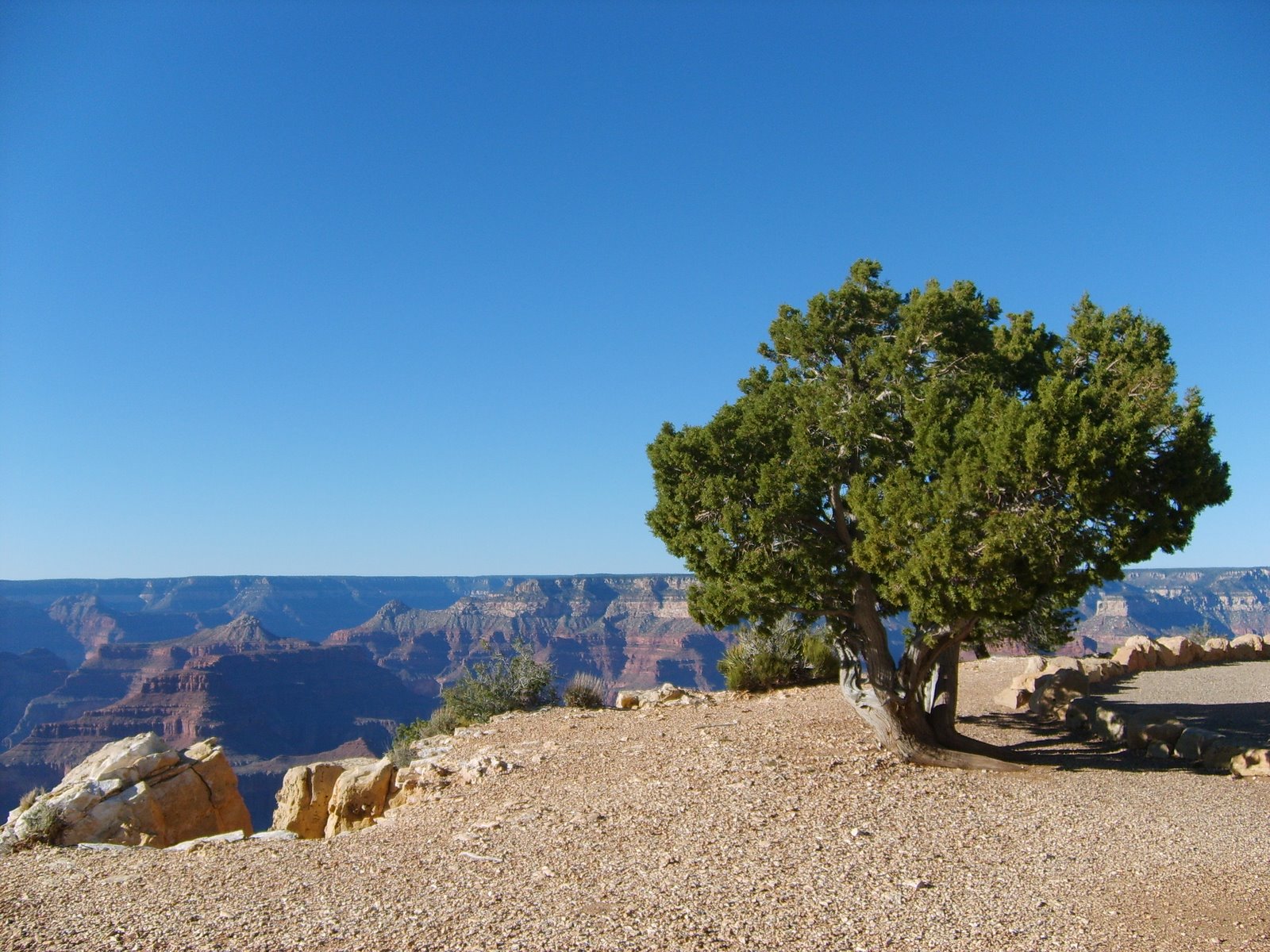 [2_Grand_Canyon39.jpg]