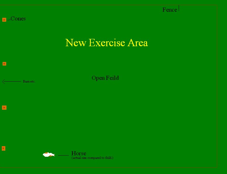 [New+Exercise+Area.bmp]