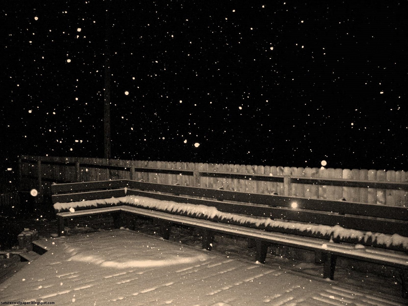 [Snow+On+Porch+Black+And+White.jpg]