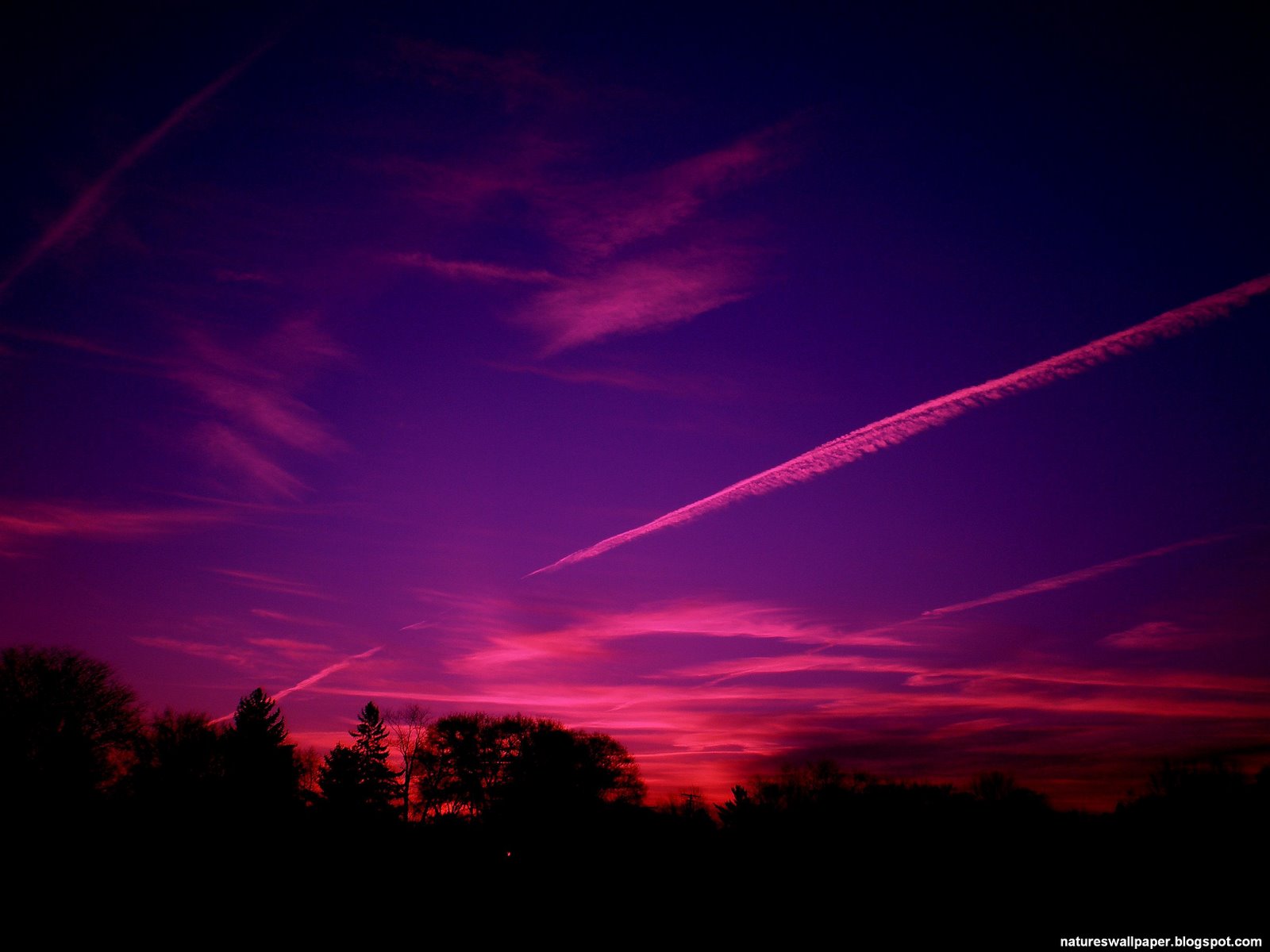 [purple+and+red+sunset.jpg]