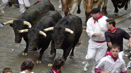 [Bull+Pamplona+1.jpg]