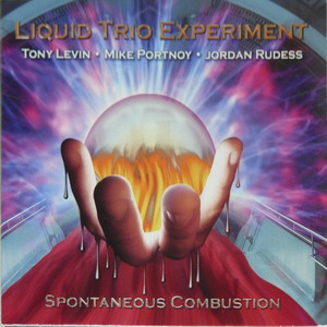 [00.Liquid+Trio+Experiment+-+Spontaneous+Combustion.jpg]