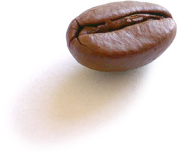 [coffee-bean.jpg]