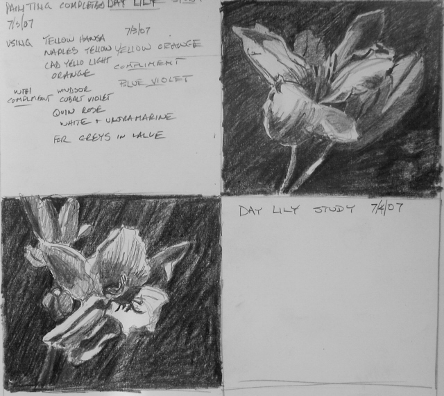 [pencil+study+for+day+lily+EM.jpg]