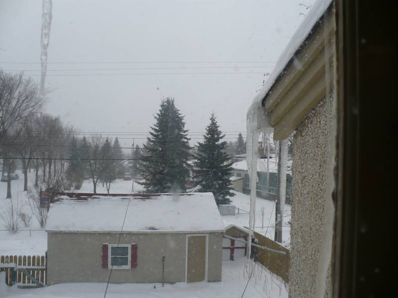 [Yet+more+snow+April+2008+medium.jpg]
