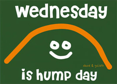 [Wednesday-Is-Hump-Day-Magnet-C12197662.jpg]