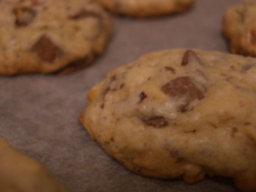 [cookies1.JPG]