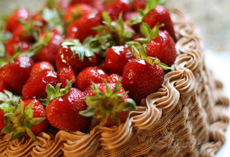 [strawberry+basket.jpg]