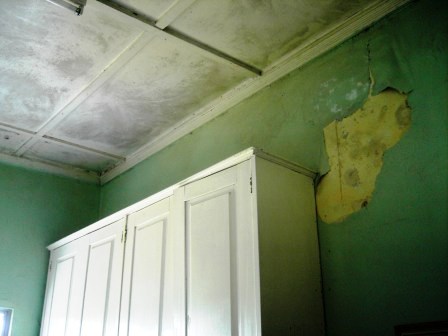 [up-kitchen+ceiling+pre-paint.JPG]
