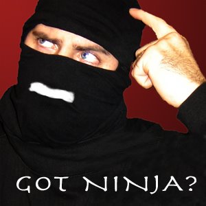 [ninja.bmp]