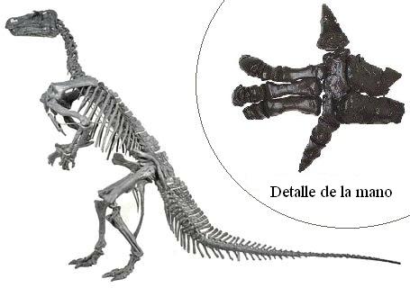 [iguanodon2ub7.jpg]