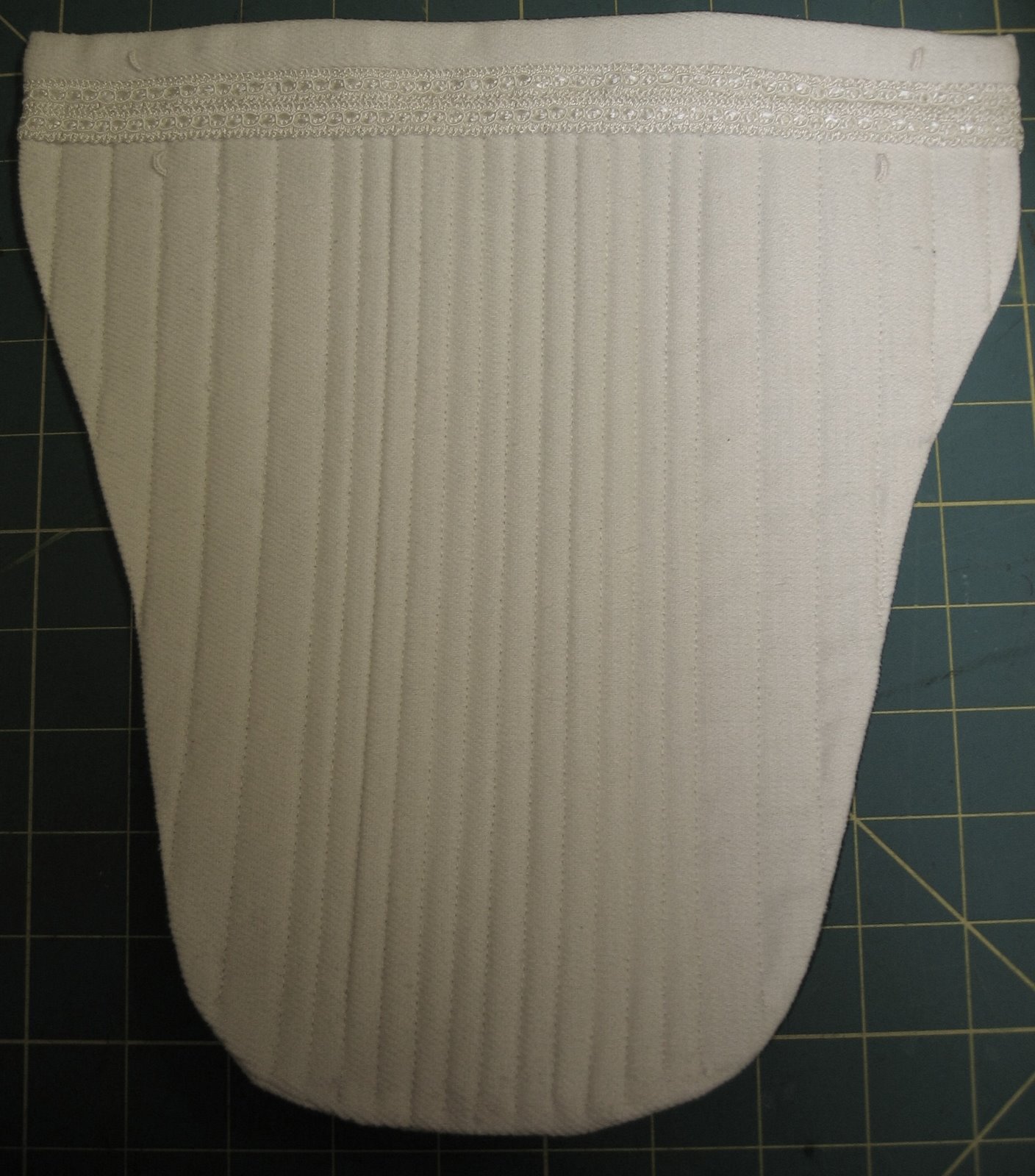 [Stomacher+completed.jpg]
