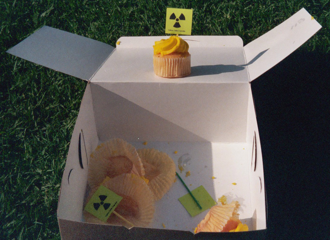 [Cupcake+box.JPG]