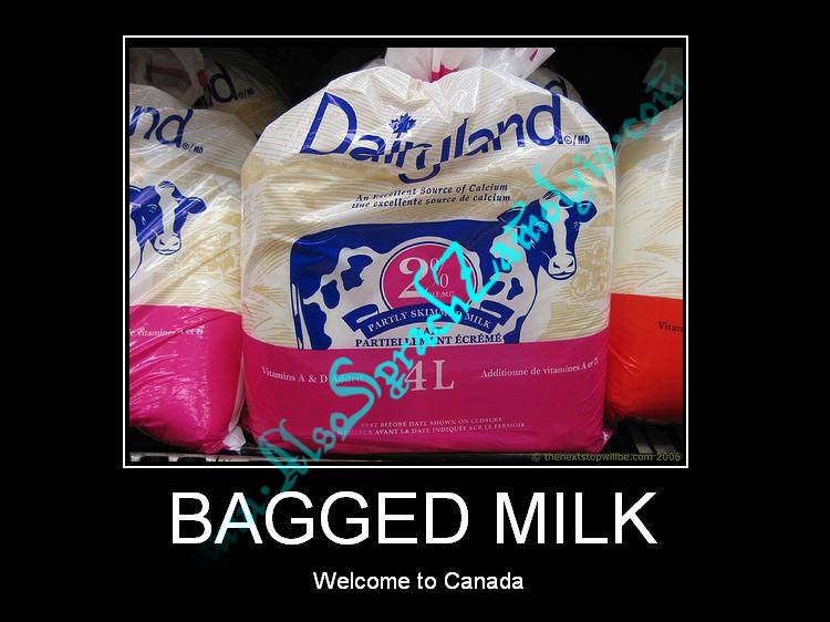 [bagged+milkz.jpg]