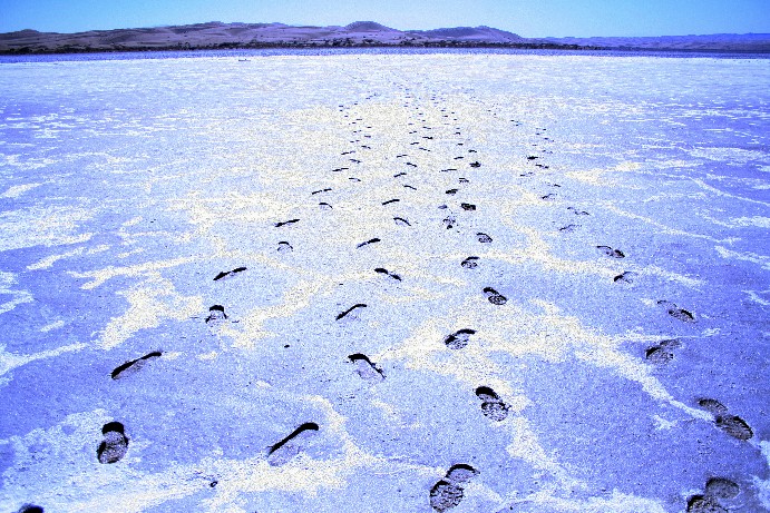 [footprints+in+sea+of+salt.jpg]
