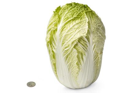 [28-chinese-cabbage.jpg]