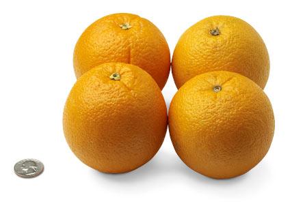 [31-oranges.jpg]