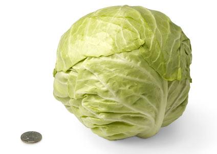 [30-green-cabbage.jpg]