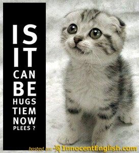 [cat+hugging+4.jpg]