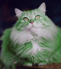 [green+cat.jpg]