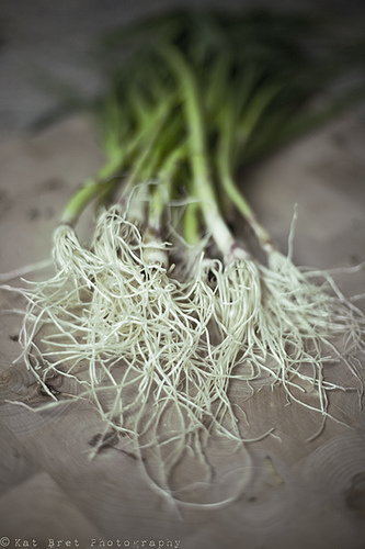 [spring+garlic.jpg]