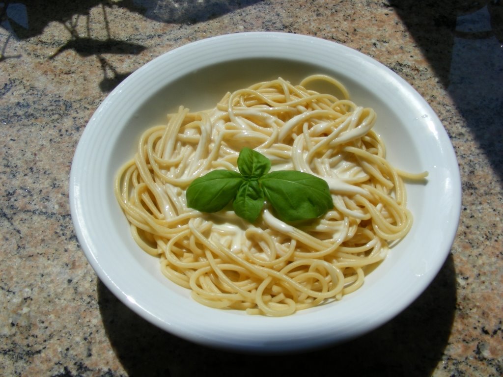 [Spaghetti+mit+Käsesauce.jpg]