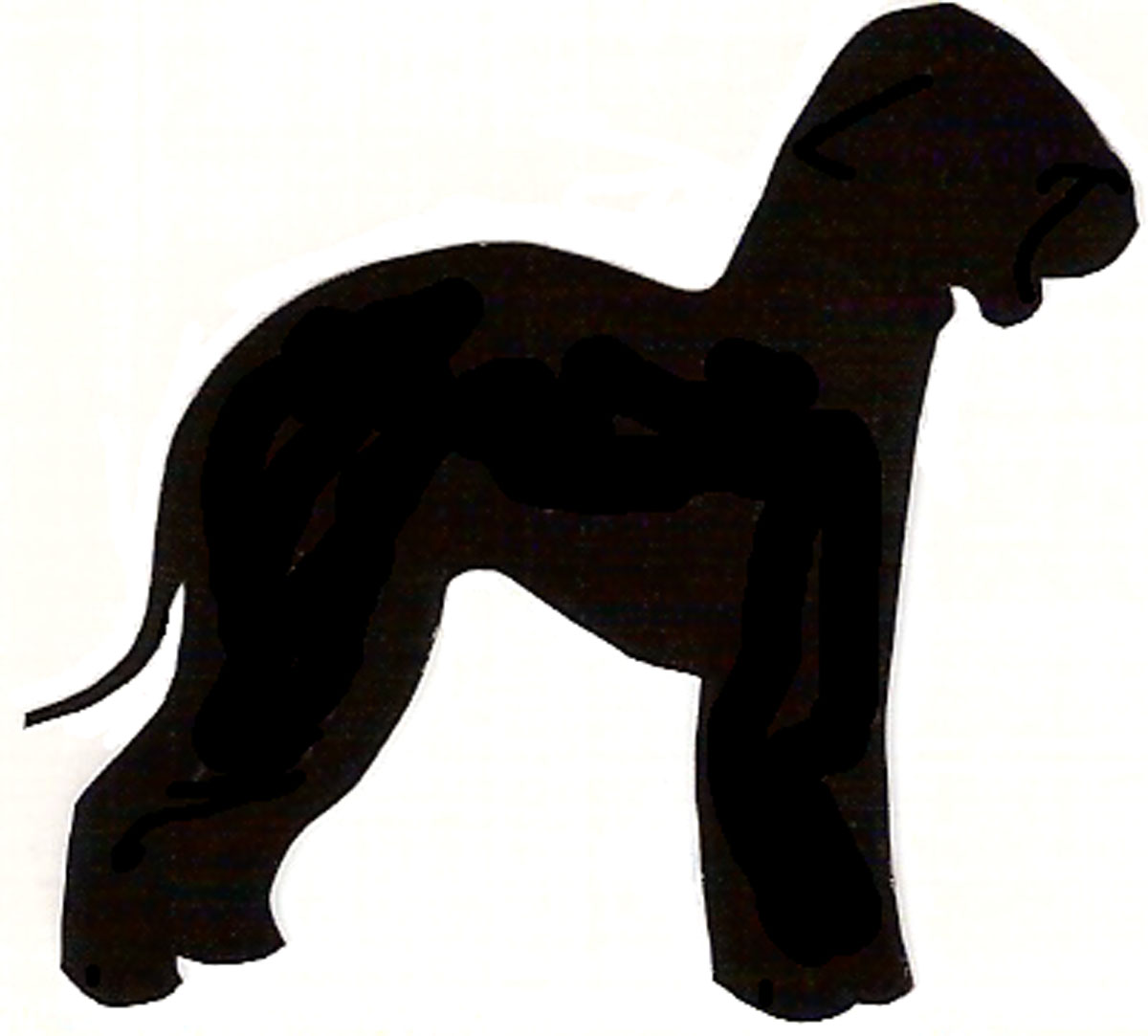 [Bedlington Terrier.jpg]