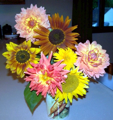 [sunflower+dahlia+bouquet.jpg]