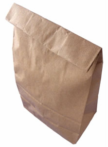 [brown+paper+bag.jpg]