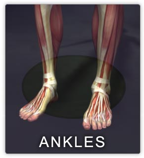 [ankle.jpg]
