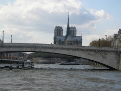 Notre Dame y río Sena ( París)