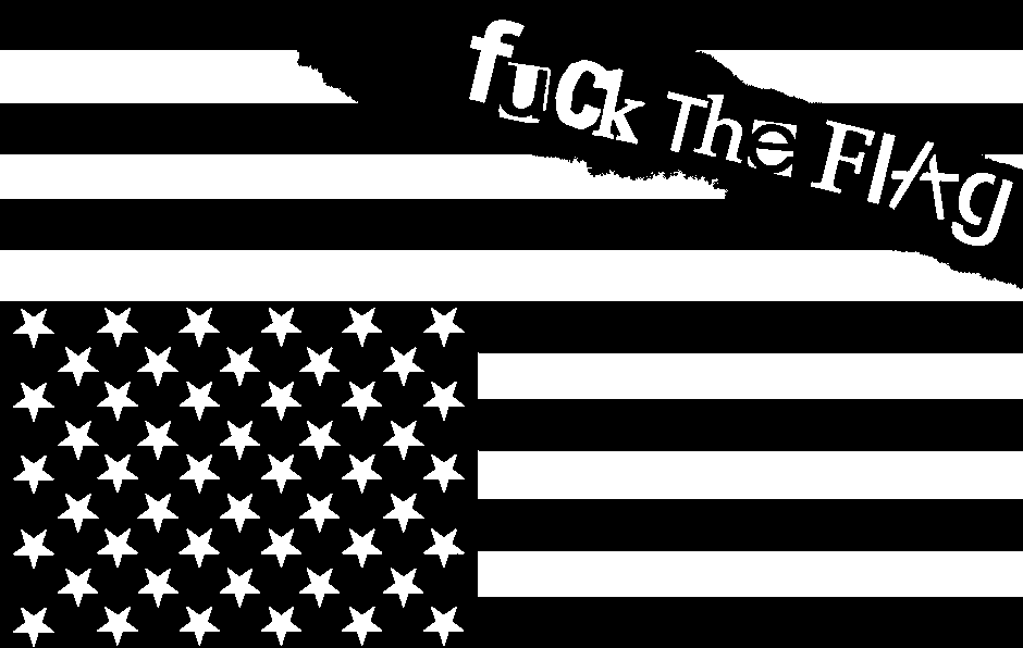 [fuck_the_flag2.gif]