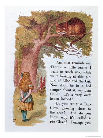 [195291~Alice-and-the-Cheshire-Cat-Illustration-from-Alice-in-Wonderland-Published-in-London-1889-Posters.jpg]